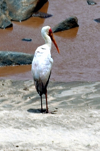 Kenia (373)